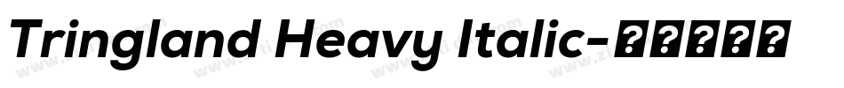 Tringland Heavy Italic字体转换